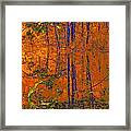 Tapestry #1 Framed Print