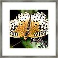 Tattered And Torn #1 Framed Print