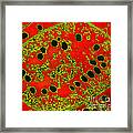 Tem Of Bacteriophages #1 Framed Print