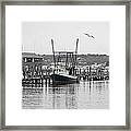 Terri Sue #1 Framed Print