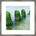 The Green Jetty #1 Framed Print