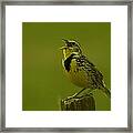The Meadowlark Sings #2 Framed Print
