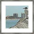 The View #1 Framed Print