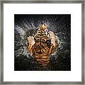 Tiger Splash #1 Framed Print