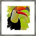 Toco Toucan 3 #1 Framed Print