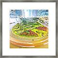 Traffic Around A Planted Roundabout In #1 Framed Print