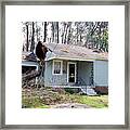 Tree On A House After Hurricane Katrina #1 Framed Print
