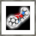 Tromantadine Drug Molecule #1 Framed Print