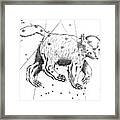 Ursa Major Constellation #1 Framed Print