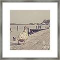 Vintage Bird Walking Along A Beach Promenade #1 Framed Print