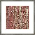 Weathered And Worn #1 Framed Print