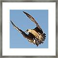 What #1 Framed Print