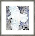 White Raven #1 Framed Print