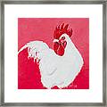 White Rooster Framed Print