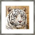 White Tiger Art #1 Framed Print