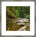 Woodland Stream In Autumn #1 Framed Print