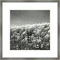 Distant Trees With Ice Framed Print