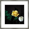 Yellow And White #2 Framed Print