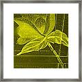 Yellow Negative Wood Flower Framed Print