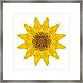 Yellow Sunflower X Flower Mandala White Framed Print