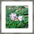 #beautiful #flowers #garden #macro #10 Framed Print