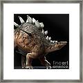 Dinosaur Kentrosaurus #10 Framed Print