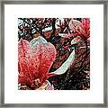 Magnolia Flowers  #10 Framed Print