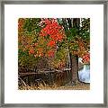 Fall Foliage At Caumsett State Historic Park Preserve #11 Framed Print