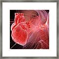 Human Heart, Artwork #11 Framed Print