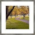 #11 #11 Framed Print