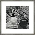 Searching For The Perfect Potato #11 Framed Print