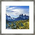 Springtime In Torres Del Paine #11 Framed Print