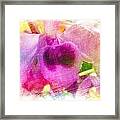 Orchids #115 Framed Print