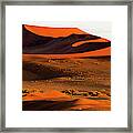 Africa, Namibia, Namib-naukluft #12 Framed Print