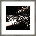 An Alternative View - Mercedes-benz #12 Framed Print