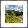 14- Grassy Waters Preserve Framed Print