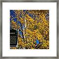Classic Vermont Foliage. #17 Framed Print