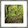 Jungle #18 Framed Print