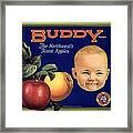 1920 - Buddy Apple - Crate Art - Andrews Brothers - Detroit - 1920 Framed Print