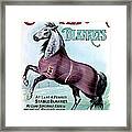 19th C. Chase's Horse Blankets Framed Print