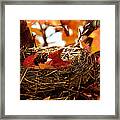 A Clutch Of Color #2 Framed Print