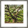 Angel Oak Tree Of Life #2 Framed Print