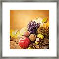 Autumn Fruit #2 Framed Print