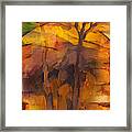 Autumn Gold #2 Framed Print