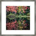 Autumn Pond #2 Framed Print