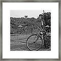 Banana Bike #2 Framed Print