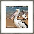 Beach Birds #2 Framed Print