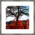 Bryce Canyon #4 Framed Print