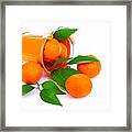 Bucket Of Fresh Mandarins #2 Framed Print