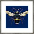 Bumblebee Bedazzled Framed Print